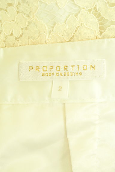 PROPORTION BODY DRESSING（プロポーションボディ ドレッシング）の古着「総レース膝丈スカート（スカート）」大画像６へ