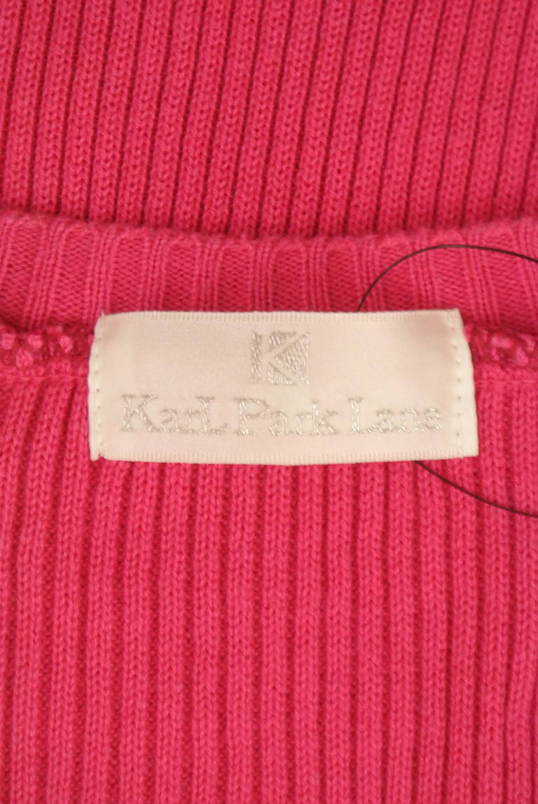 KarL Park Lane（カールパークレーン）の古着「商品番号：PR10323411」-大画像6