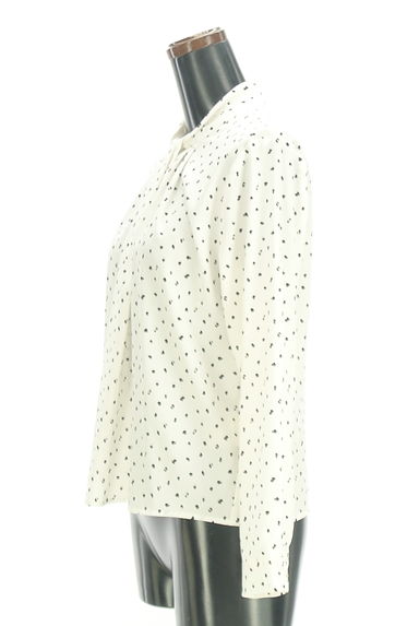 Stola.（ストラ）の古着「レオパード柄スタンドカラーブラウス（カットソー・プルオーバー）」大画像３へ