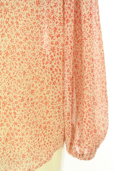 un dix cors（アンディコール）の古着「小花柄シフォンカットソー（カットソー・プルオーバー）」大画像５へ