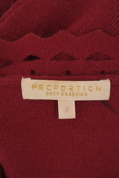 PROPORTION BODY DRESSING（プロポーションボディ ドレッシング）の古着「透かし編み膝丈ニットワンピース（ワンピース・チュニック）」大画像６へ