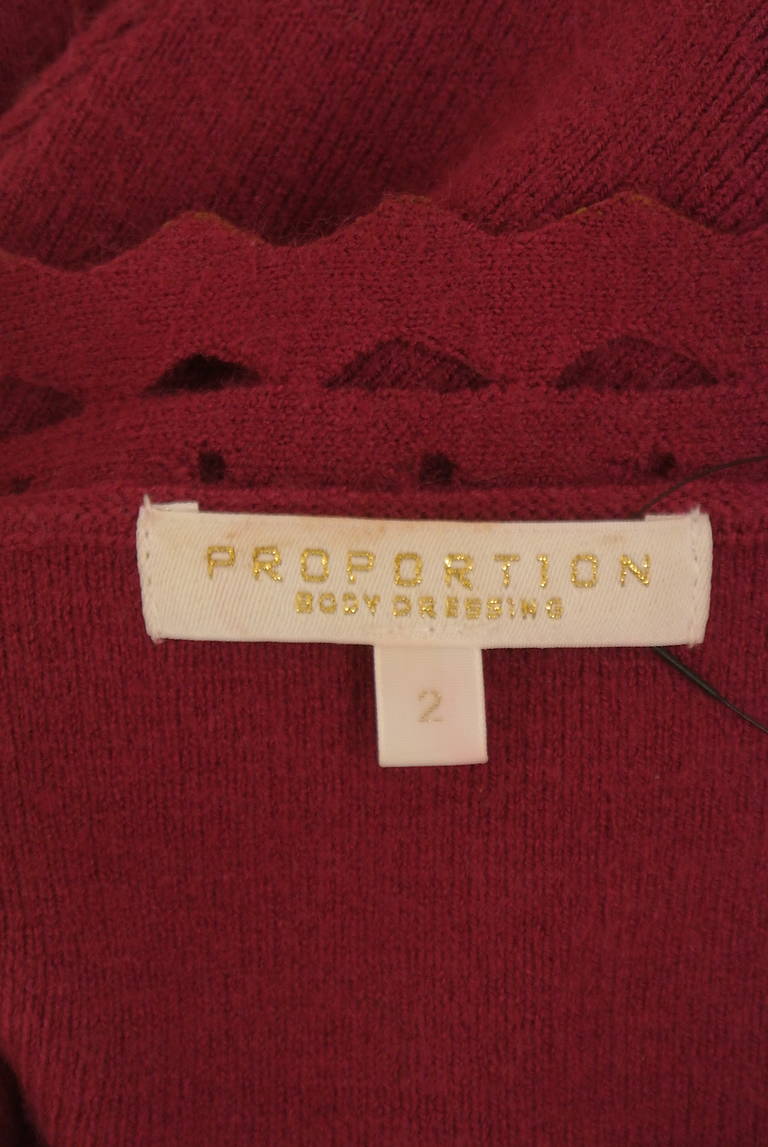 PROPORTION BODY DRESSING(プロポーションボディ ドレッシング)の古着「商品番号:PR10324102」-大画像6