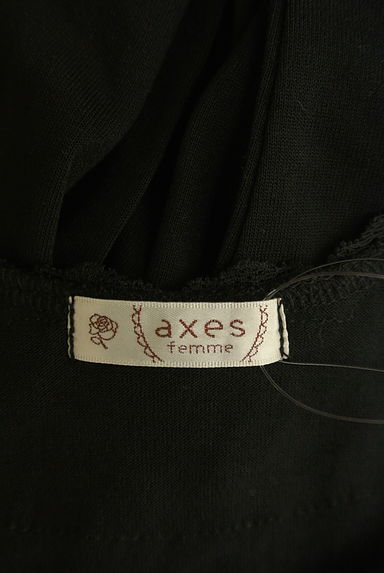 axes femme（アクシーズファム）の古着「レースネックカットソー（カットソー・プルオーバー）」大画像６へ