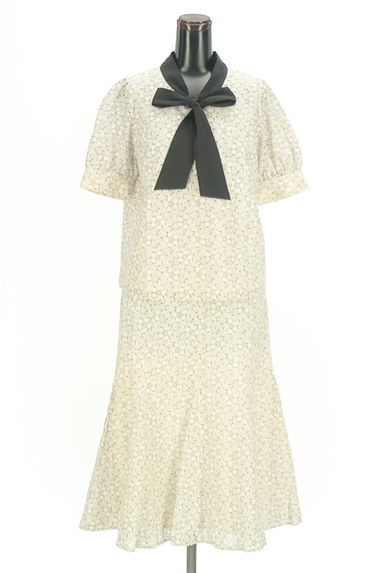 PROPORTION BODY DRESSING（プロポーションボディ ドレッシング）の古着「総レースカットソー＋ミモレスカート（セットアップ（ジャケット＋スカート））」大画像１へ