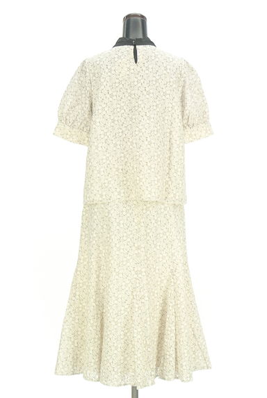 PROPORTION BODY DRESSING（プロポーションボディ ドレッシング）の古着「総レースカットソー＋ミモレスカート（セットアップ（ジャケット＋スカート））」大画像２へ