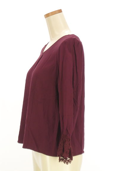 PROPORTION BODY DRESSING（プロポーションボディ ドレッシング）の古着「レース切替Vネックカットソー（カットソー・プルオーバー）」大画像３へ