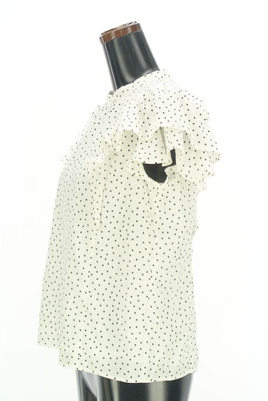 PROPORTION BODY DRESSING（プロポーションボディ ドレッシング）の古着「ドットフリルカットソー（カットソー・プルオーバー）」大画像３へ