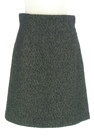 PROPORTION BODY DRESSING（プロポーションボディ ドレッシング）の古着「スカート」前