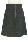 PROPORTION BODY DRESSING（プロポーションボディ ドレッシング）の古着「スカート」後ろ