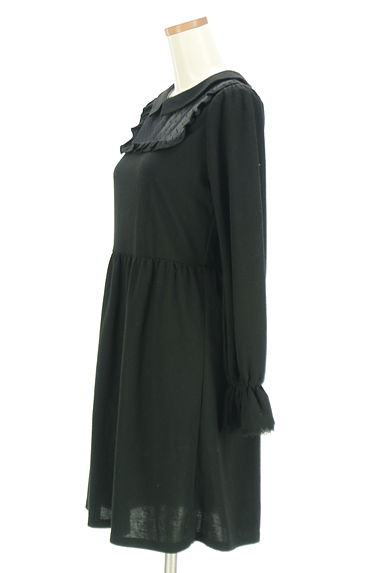 axes femme（アクシーズファム）の古着「axes femme POETIQUE チュール切替ワンピース（ワンピース・チュニック）」大画像３へ