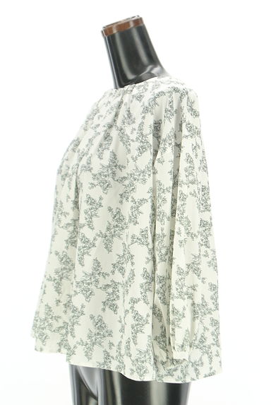 Te chichi（テチチ）の古着「Te chichi TERRASSE 花柄シフォンブラウス（カットソー・プルオーバー）」大画像３へ