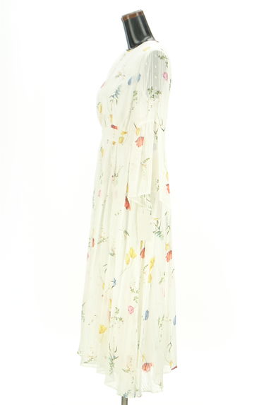 CELFORD（セルフォード）の古着「ストライプ×花柄ロングシアーワンピース（ワンピース・チュニック）」大画像３へ
