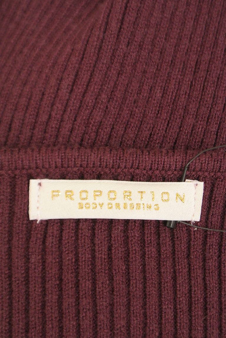 PROPORTION BODY DRESSING(プロポーションボディ ドレッシング)の古着「商品番号:PR10325330」-大画像6