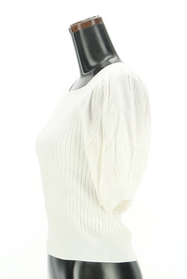 And Couture（アンドクチュール）の古着「シアーボリューム袖リブニット（ニット）」大画像３へ