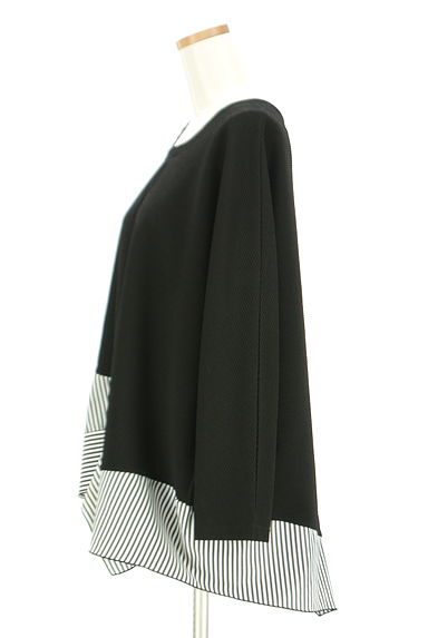 antiqua（アンティカ）の古着「patterntorso ストライプ切替カットソー（カットソー・プルオーバー）」大画像３へ