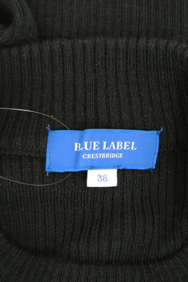 BLUE LABEL CRESTBRIDGE（ブルーレーベル・クレストブリッジ）の古着「商品番号：PR10325685」-大画像6