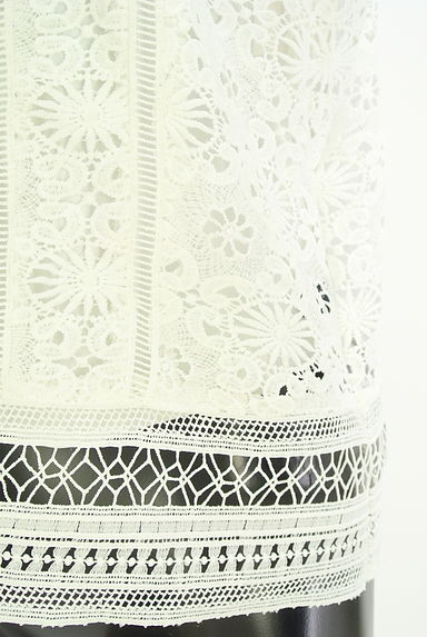 JUSGLITTY（ジャスグリッティー）の古着「刺繍レースカットソー（カットソー・プルオーバー）」大画像５へ