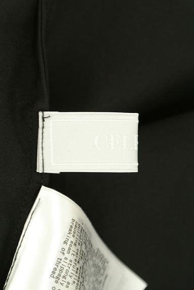 CELFORD（セルフォード）の古着「刺繍レースブラウス（ブラウス）」大画像６へ