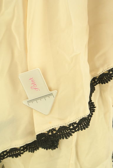 axes femme（アクシーズファム）の古着「花刺繍シフォンカットソー（カットソー・プルオーバー）」大画像５へ