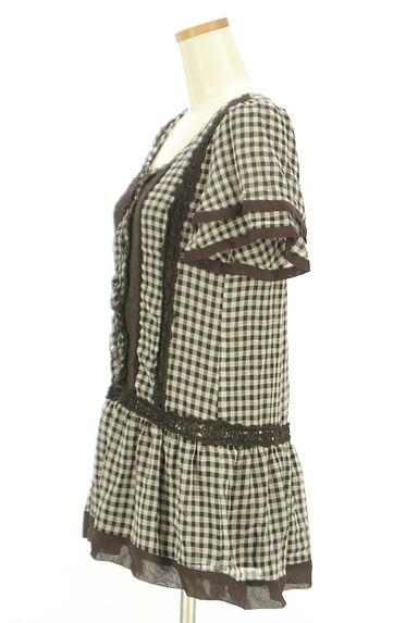 axes femme（アクシーズファム）の古着「ギンガムチェックシフォンチュニック（カットソー・プルオーバー）」大画像３へ