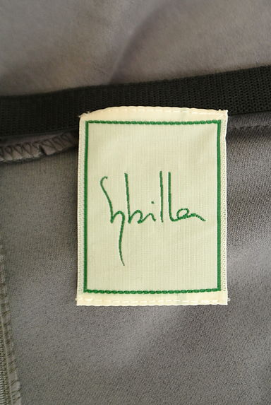 Sybilla（シビラ）の古着「スウェード調ストレッチワイドパンツ（パンツ）」大画像６へ