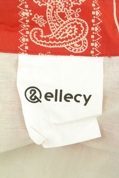 &ellecy（アンドエルシー）の古着「ペイズリー柄ロングスカート（ロングスカート・マキシスカート）」大画像６へ
