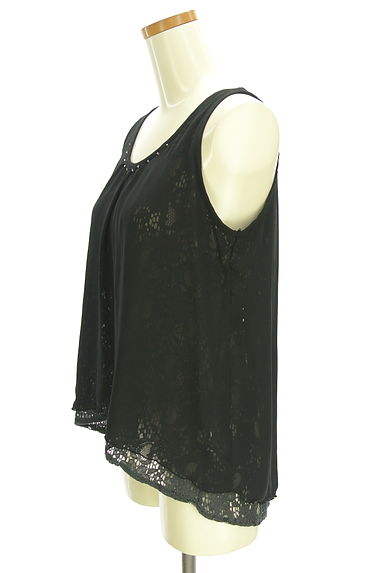 axes femme（アクシーズファム）の古着「レース＆シフォンカットソー（カットソー・プルオーバー）」大画像３へ
