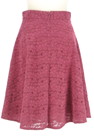 PROPORTION BODY DRESSING（プロポーションボディ ドレッシング）の古着「スカート」後ろ