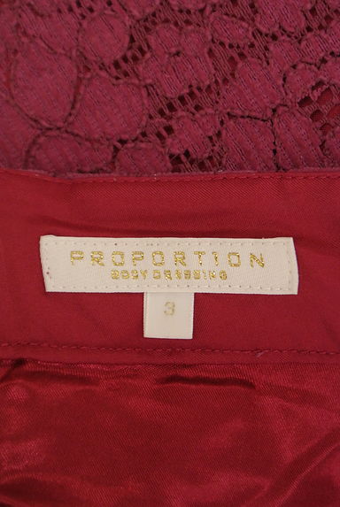 PROPORTION BODY DRESSING（プロポーションボディ ドレッシング）の古着「花柄フロッキーレース膝丈スカート（スカート）」大画像６へ