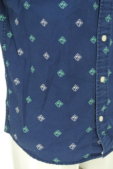 Hollister Co.（ホリスター）の古着「ヤシの木柄シャツ（カジュアルシャツ）」大画像５へ