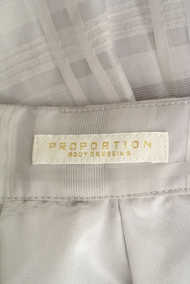 PROPORTION BODY DRESSING（プロポーションボディ ドレッシング）の古着「チェック柄シアーロングスカート（ロングスカート・マキシスカート）」大画像６へ