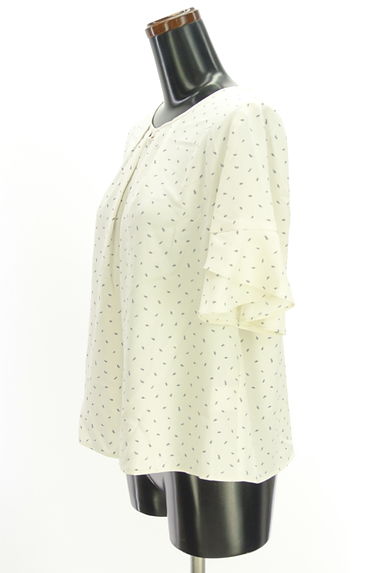 anySiS（エニィスィス）の古着「フリル袖総柄カットソー（カットソー・プルオーバー）」大画像３へ