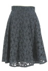 PROPORTION BODY DRESSING（プロポーションボディ ドレッシング）の古着「スカート」前