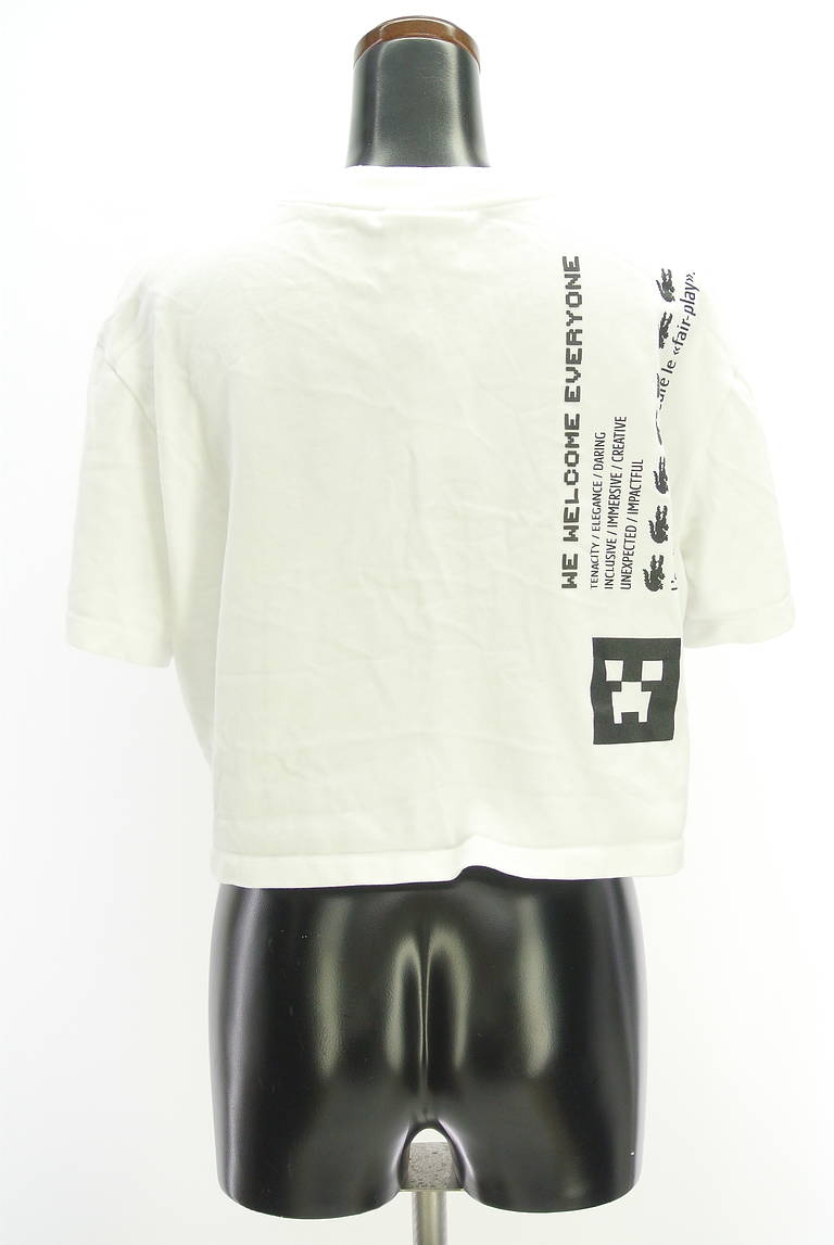 LACOSTE（ラコステ）の古着「商品番号：PR10326774」-大画像2
