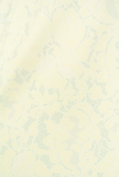 NATURAL BEAUTY BASIC（ナチュラルビューティベーシック）の古着「レース柄×無地リバーシブルスカート（スカート）」大画像４へ