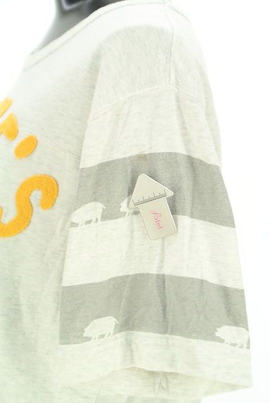 drug store's（ドラッグストアーズ）の古着「フェルトロゴTシャツ（カットソー・プルオーバー）」大画像５へ
