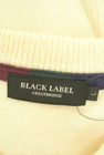 BLACK LABEL CRESTBRIDGE（ブラックレーベル・クレストブリッジ）の古着「商品番号：PR10327057」-6