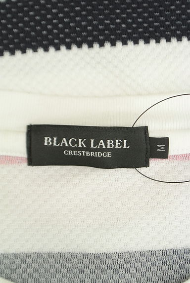 BLACK LABEL CRESTBRIDGE（ブラックレーベル・クレストブリッジ）の古着「マルチボーダーTシャツ（ニット）」大画像６へ