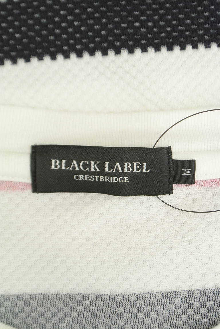 BLACK LABEL CRESTBRIDGE（ブラックレーベル・クレストブリッジ）の古着「商品番号：PR10327059」-大画像6