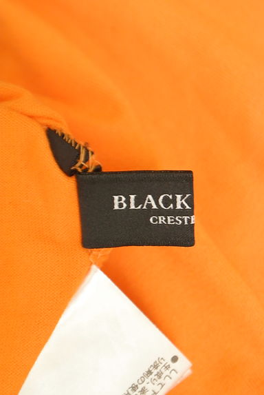 BURBERRY BLACK LABEL（バーバリーブラックレーベル）の古着「VネックTシャツ（Ｔシャツ）」大画像６へ