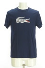 LACOSTE（ラコステ）の古着「Ｔシャツ」前