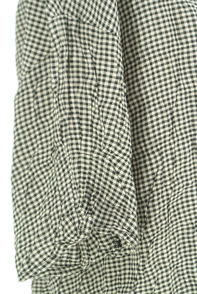 SM2（サマンサモスモス）の古着「シワ加工ギンガムチェックカットソー（カットソー・プルオーバー）」大画像４へ