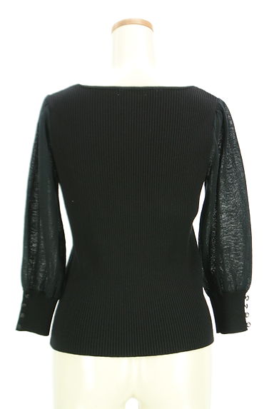 PROPORTION BODY DRESSING（プロポーションボディ ドレッシング）の古着「シアーボリューム袖リブニット（ニット）」大画像２へ