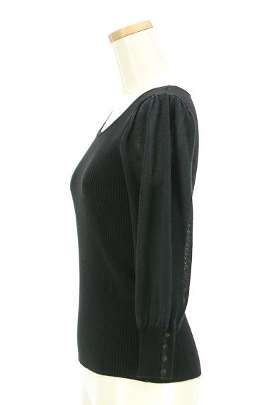 PROPORTION BODY DRESSING（プロポーションボディ ドレッシング）の古着「シアーボリューム袖リブニット（ニット）」大画像３へ