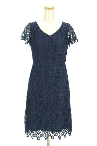 PROPORTION BODY DRESSING（プロポーションボディ ドレッシング）の古着「花柄総レース膝丈ワンピース（ワンピース・チュニック）」大画像１へ