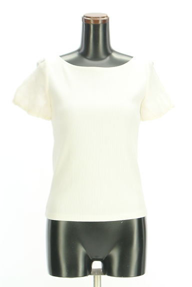 PROPORTION BODY DRESSING（プロポーションボディ ドレッシング）の古着「花柄シアー袖リブニット（ニット）」大画像１へ