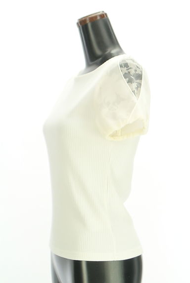 PROPORTION BODY DRESSING（プロポーションボディ ドレッシング）の古着「花柄シアー袖リブニット（ニット）」大画像３へ