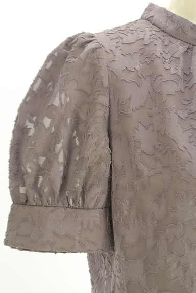 PROPORTION BODY DRESSING（プロポーションボディ ドレッシング）の古着「リーフジャガードシフォンカットソー（カットソー・プルオーバー）」大画像５へ