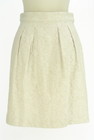 PROPORTION BODY DRESSING（プロポーションボディ ドレッシング）の古着「スカート」前