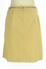 PROPORTION BODY DRESSING（プロポーションボディ ドレッシング）の古着「ミニスカート」後ろ